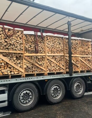 BUCHE-f-4b2c-a9db-533dbf72af0d